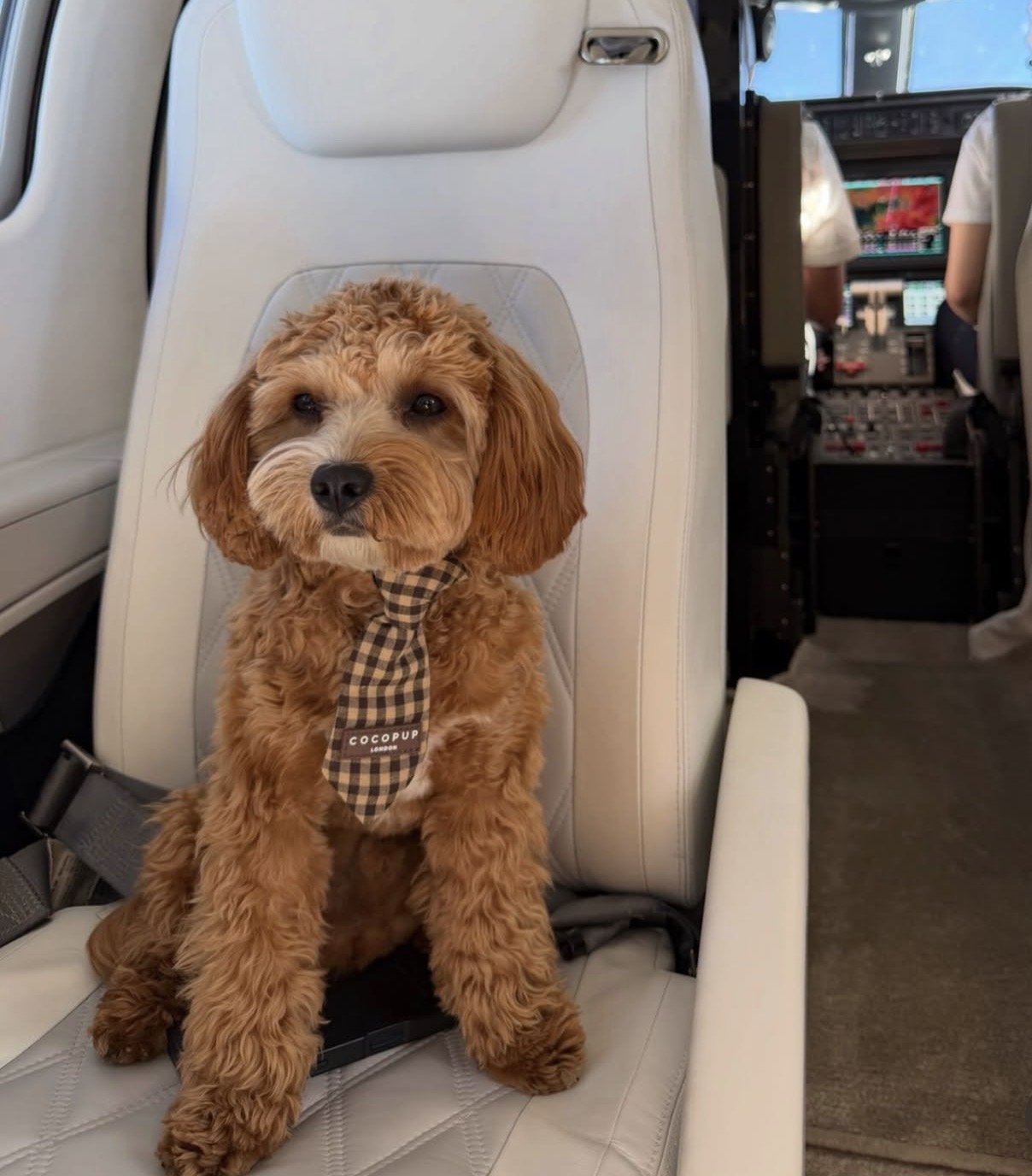 IMG_7715.jpg