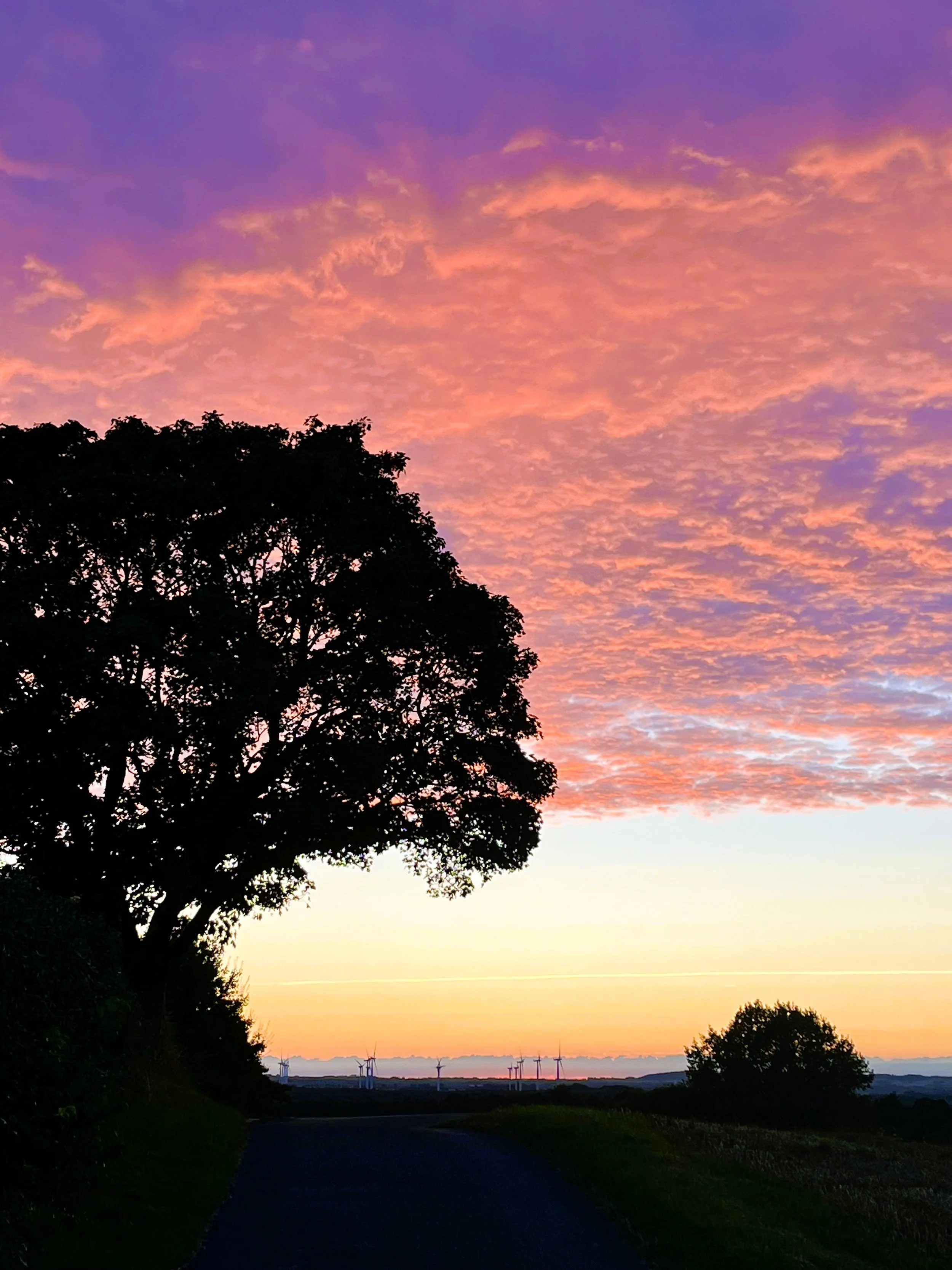 Solnedgang over åbent landskab med mørke træer i forgrunden, vindmøller i horisonten, og en farverig himmel med lyserøde, lilla og blå nuancer.