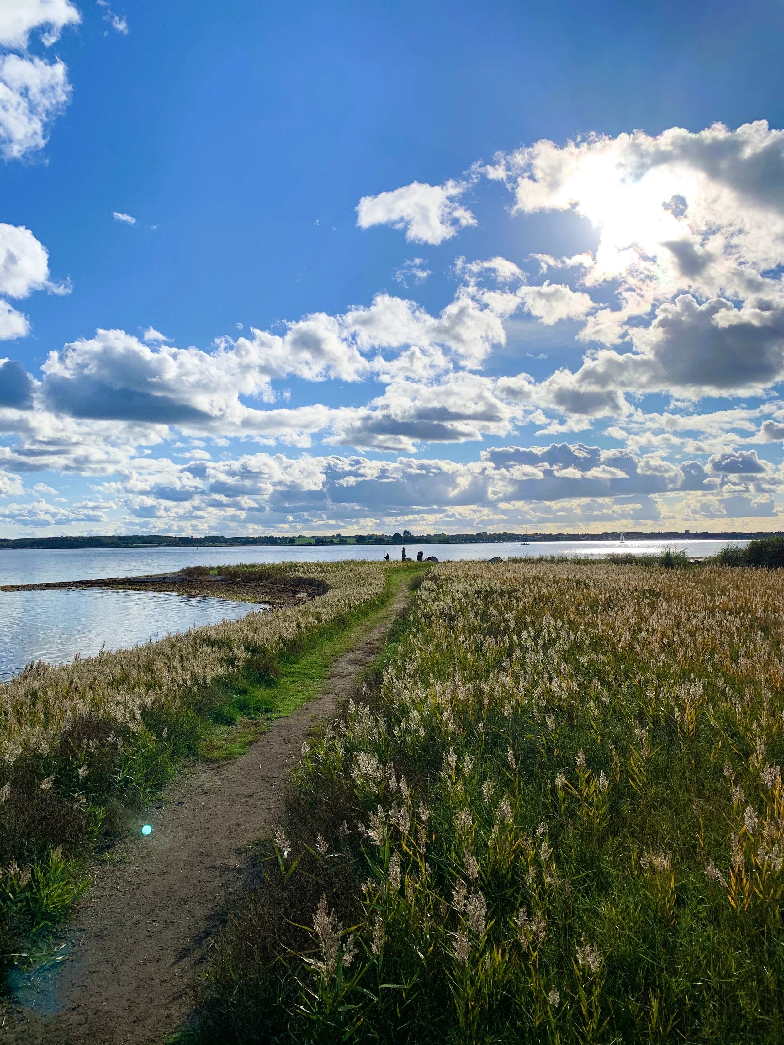 En sti gennem grønne enge ved en sø med blå himmel og nogle skyer, der skinner i solen, med tre personer i horisonten.