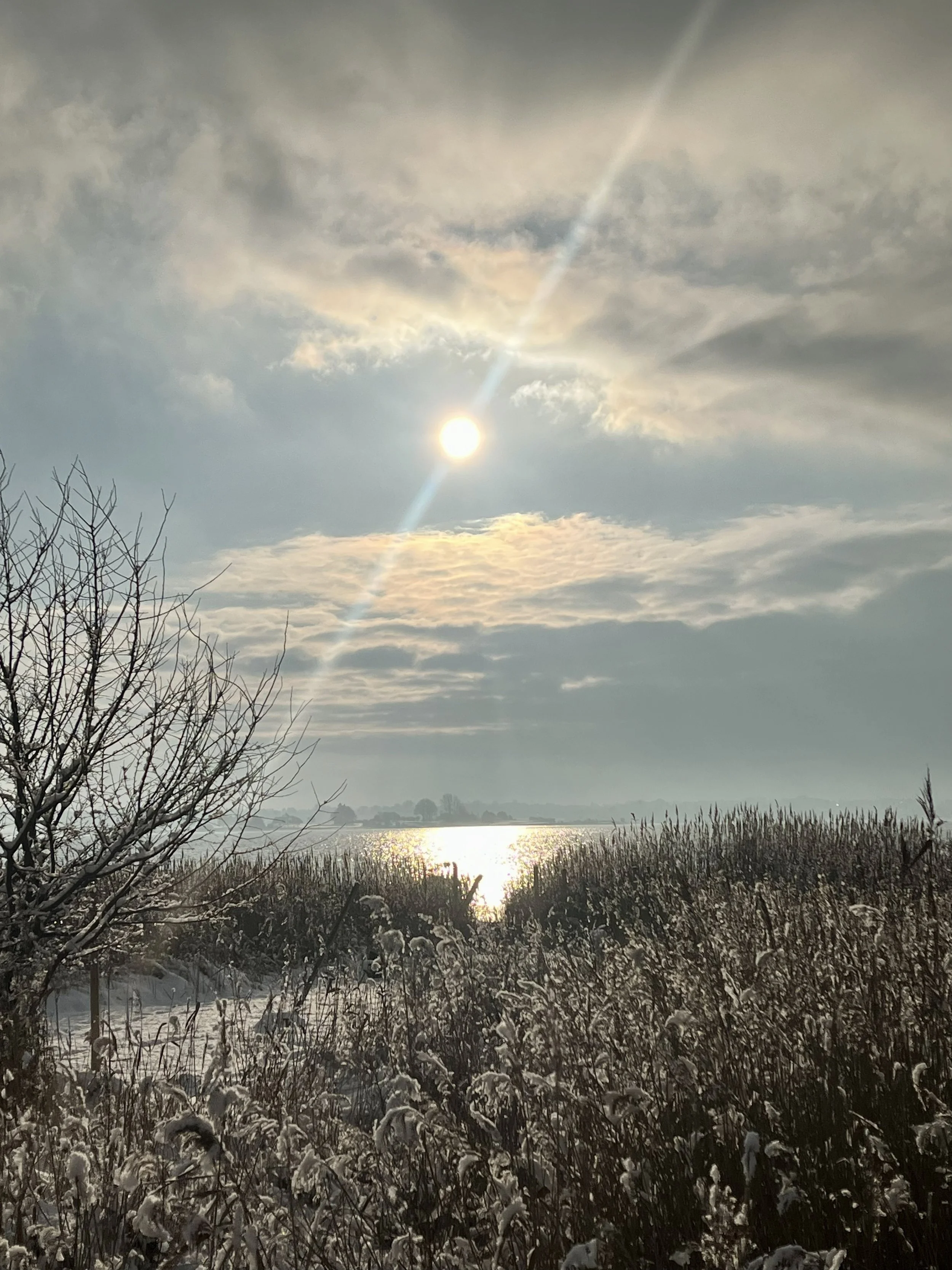 Billede af en overskyet himmel med solen, der skinner gennem skyerne over en sø, omgivet af sneklædte buske og træer.