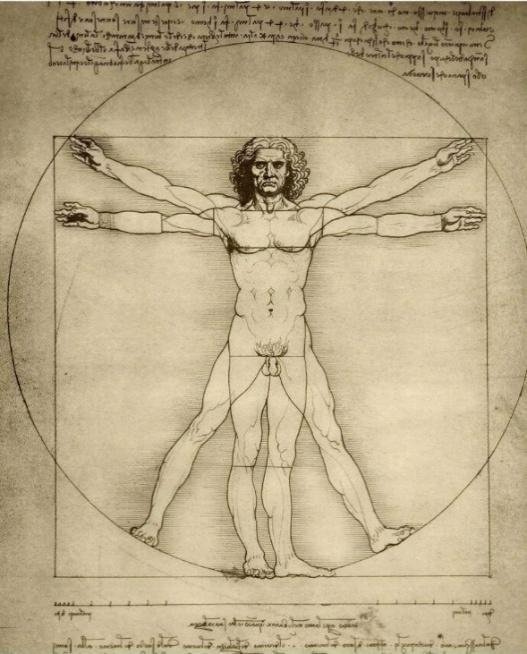 DaVinci’s Vitruvian Man