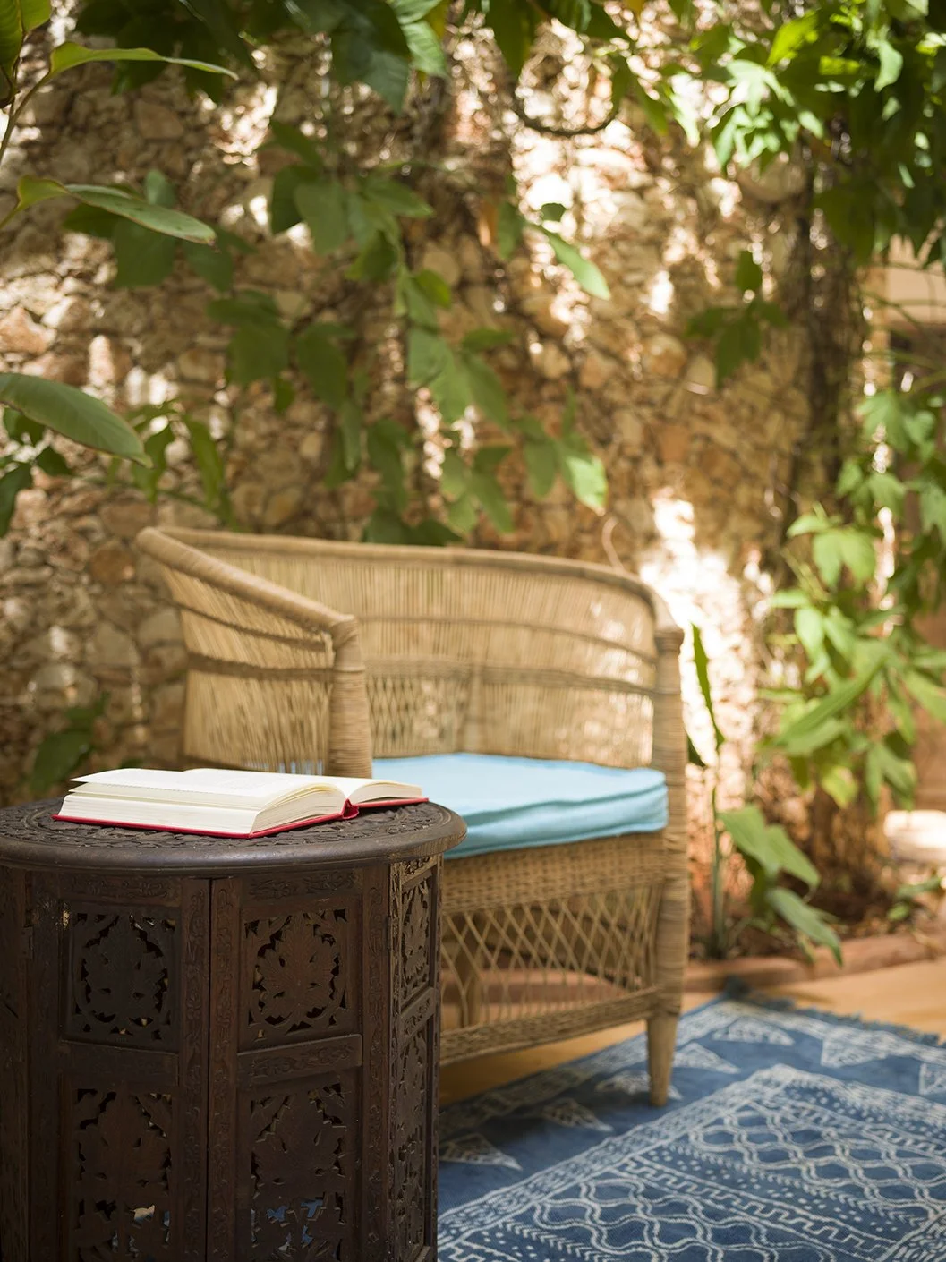 Fishbone 2403 2 XS - kopie.jpg