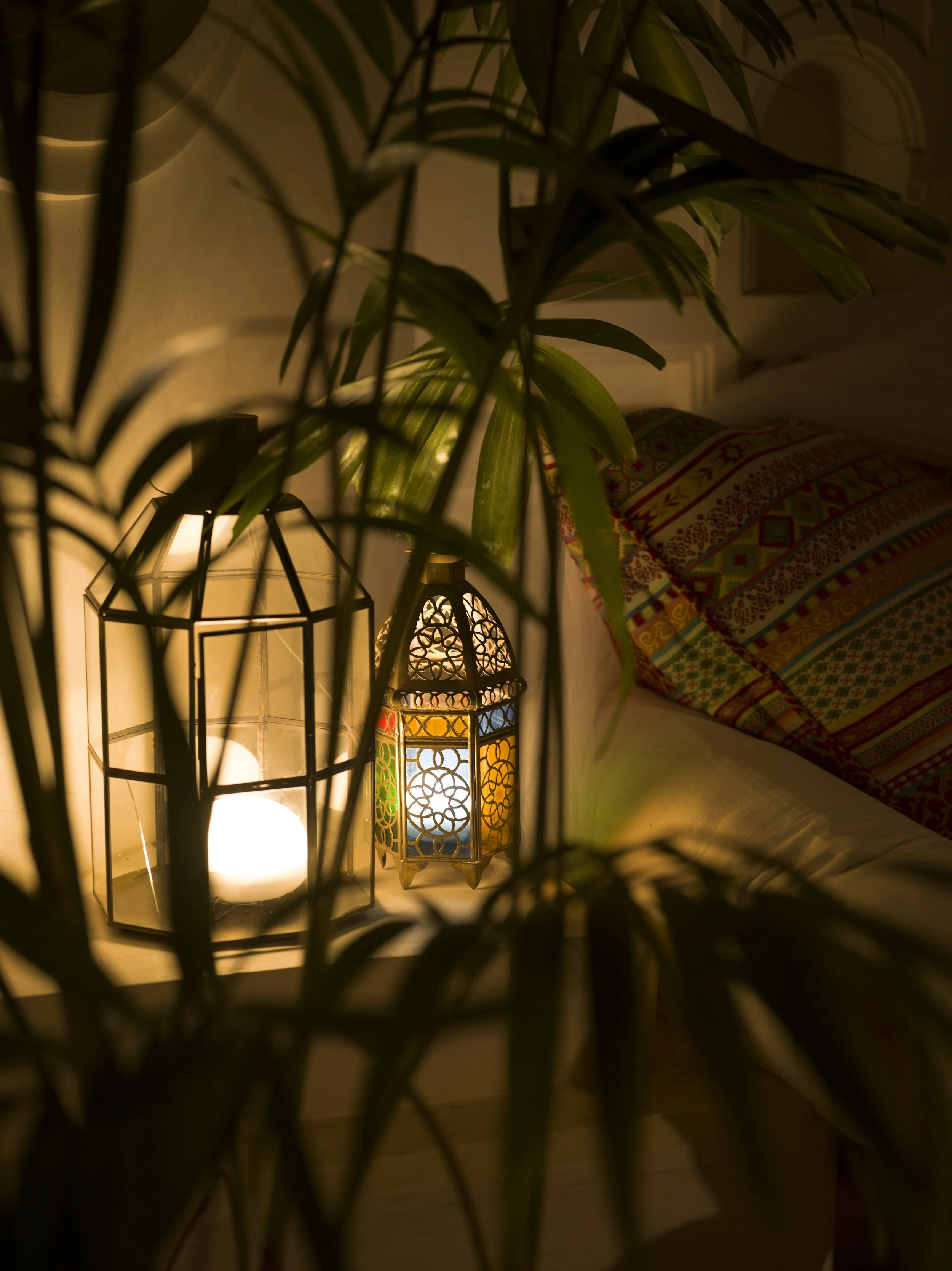 Fishbone 2403 31.jpg