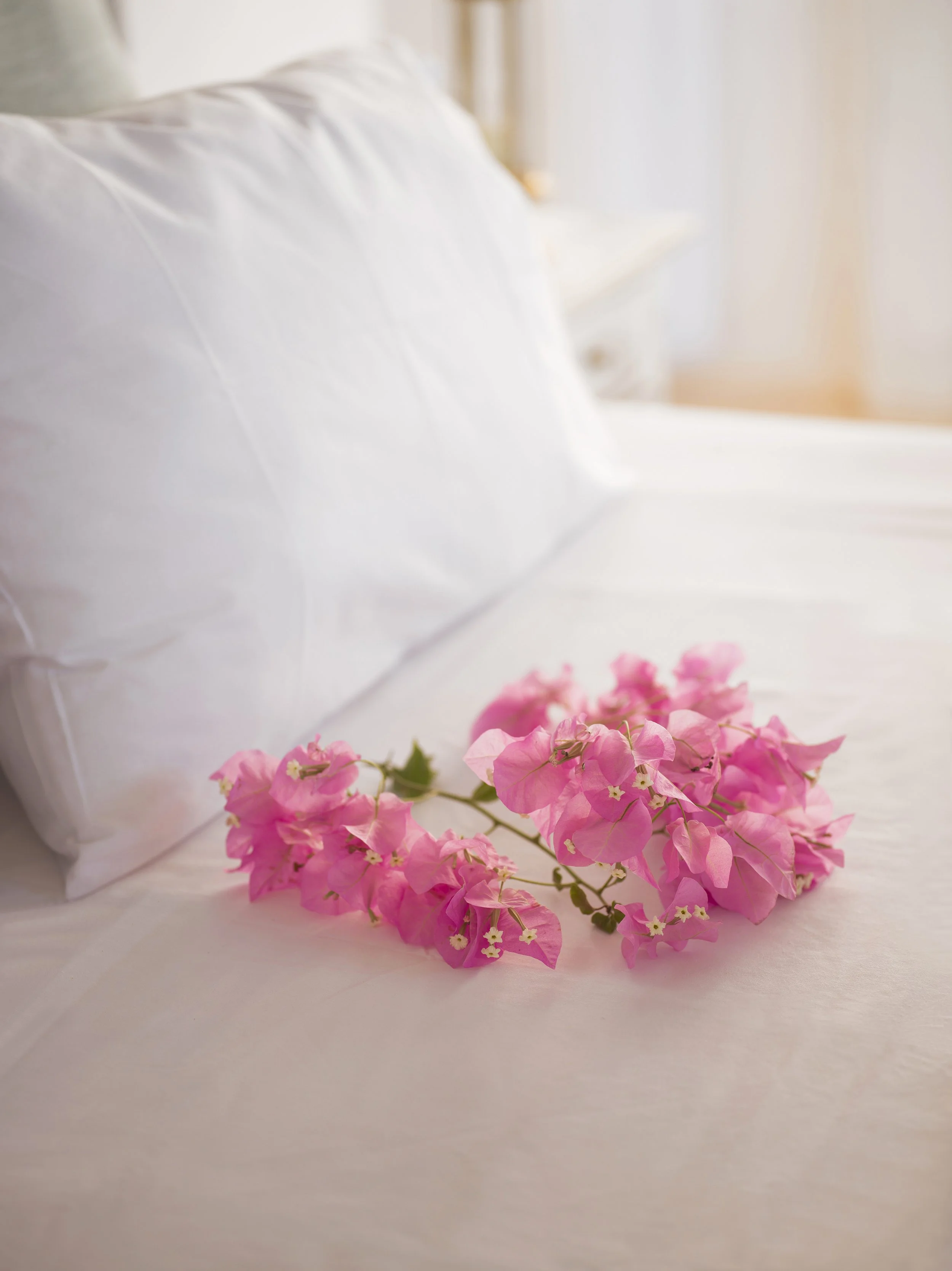 B0074414 XS - kopie - kopie - kopie.jpg