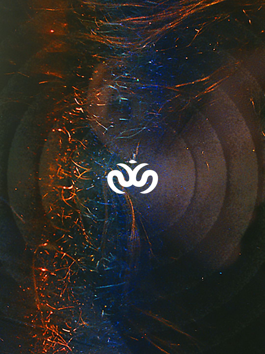 What makes Sosei Chiropractic different
