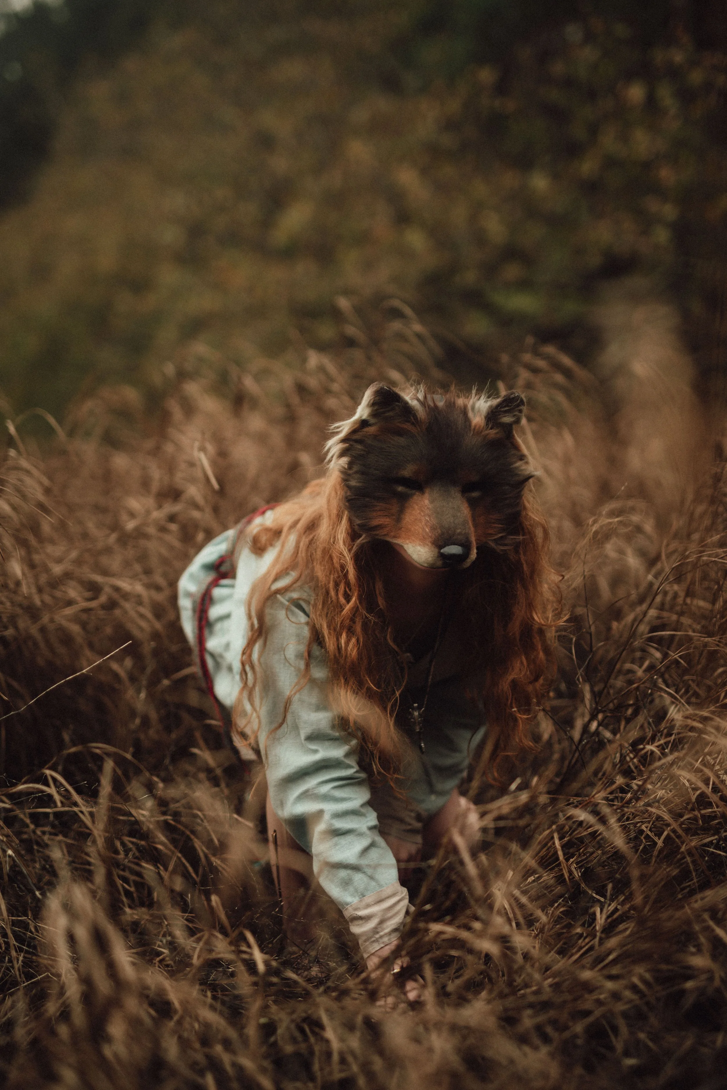 Little Red Riding Hood Lied: Fact v.s Fiction