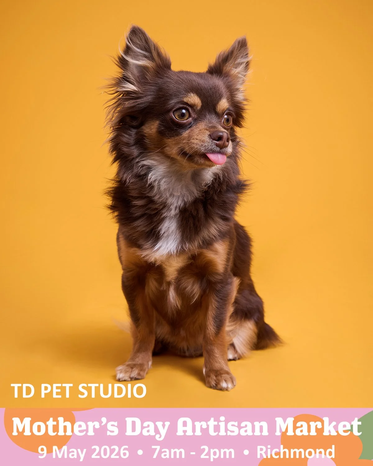 VENDOR SPOTLIGHT 🐾

Today we are featuring: Td pet studio

TD Pet Studio a pop up portrait space that was built to capture peoples beautiful fur babies and make sure you have a memory to last a lifetime! 

IG: Td.pet.studio

Shop unique, handmade gi