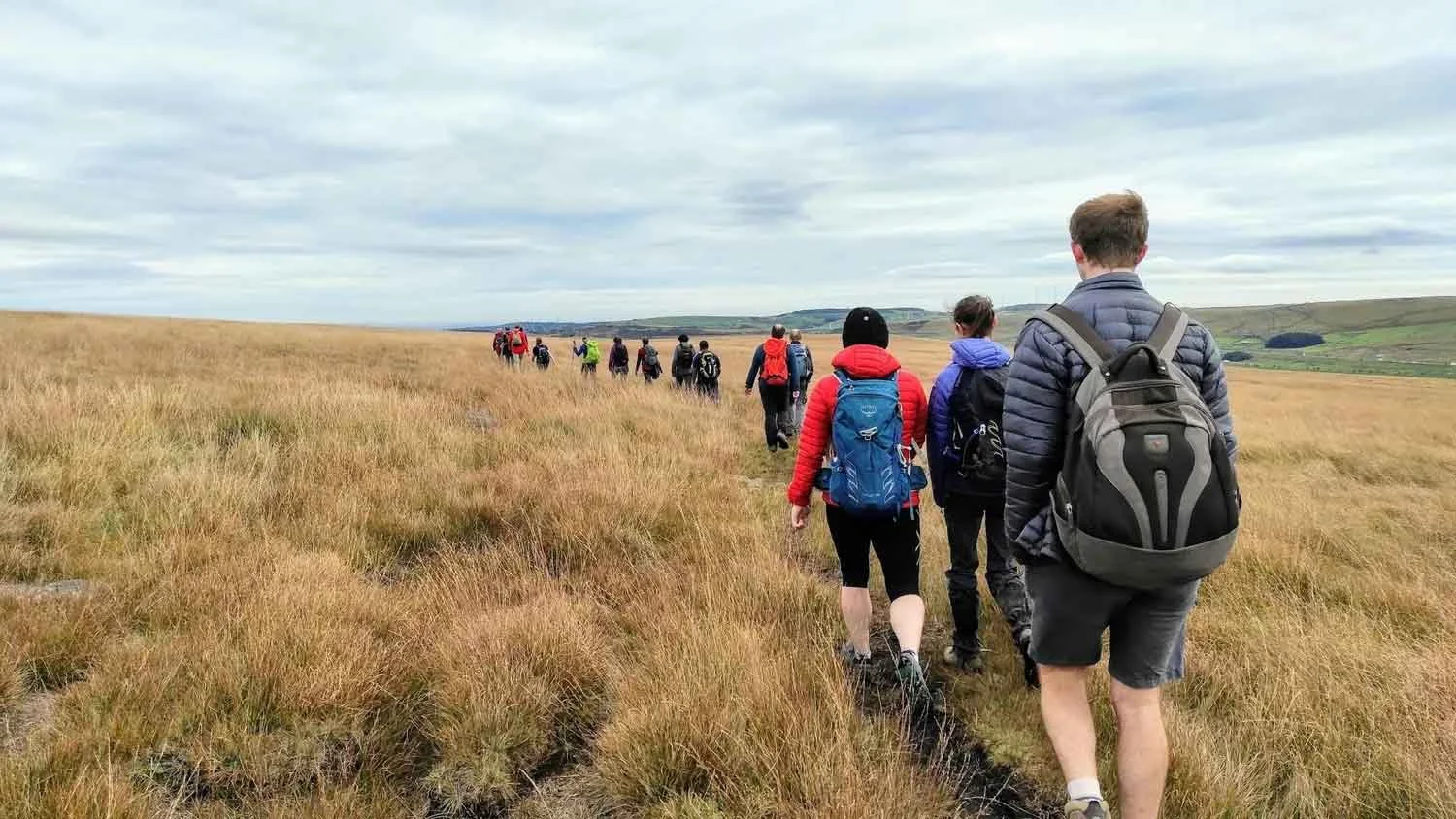 A group of hikers with backpacks walking along a scenic trail through a golden, grassy field.