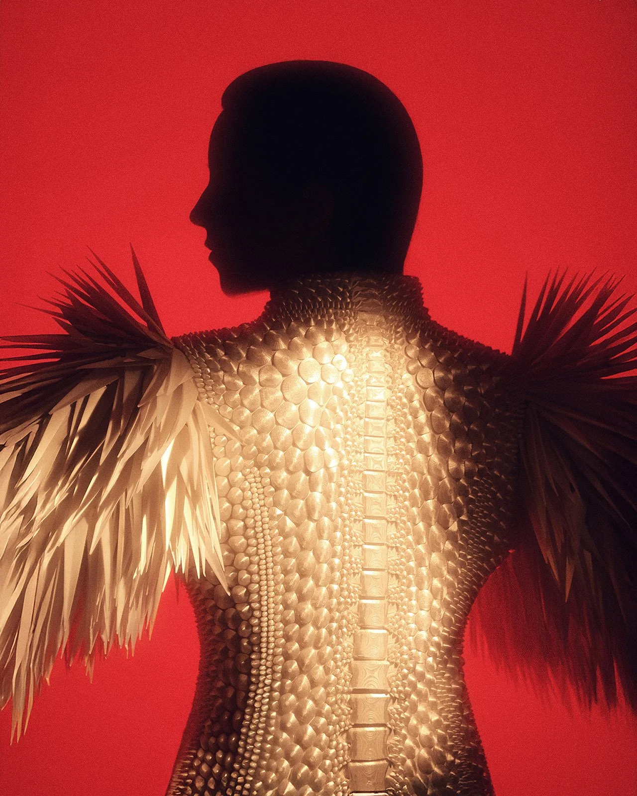 Beyond Sustainability: Why Brands Must Embrace Regeneration