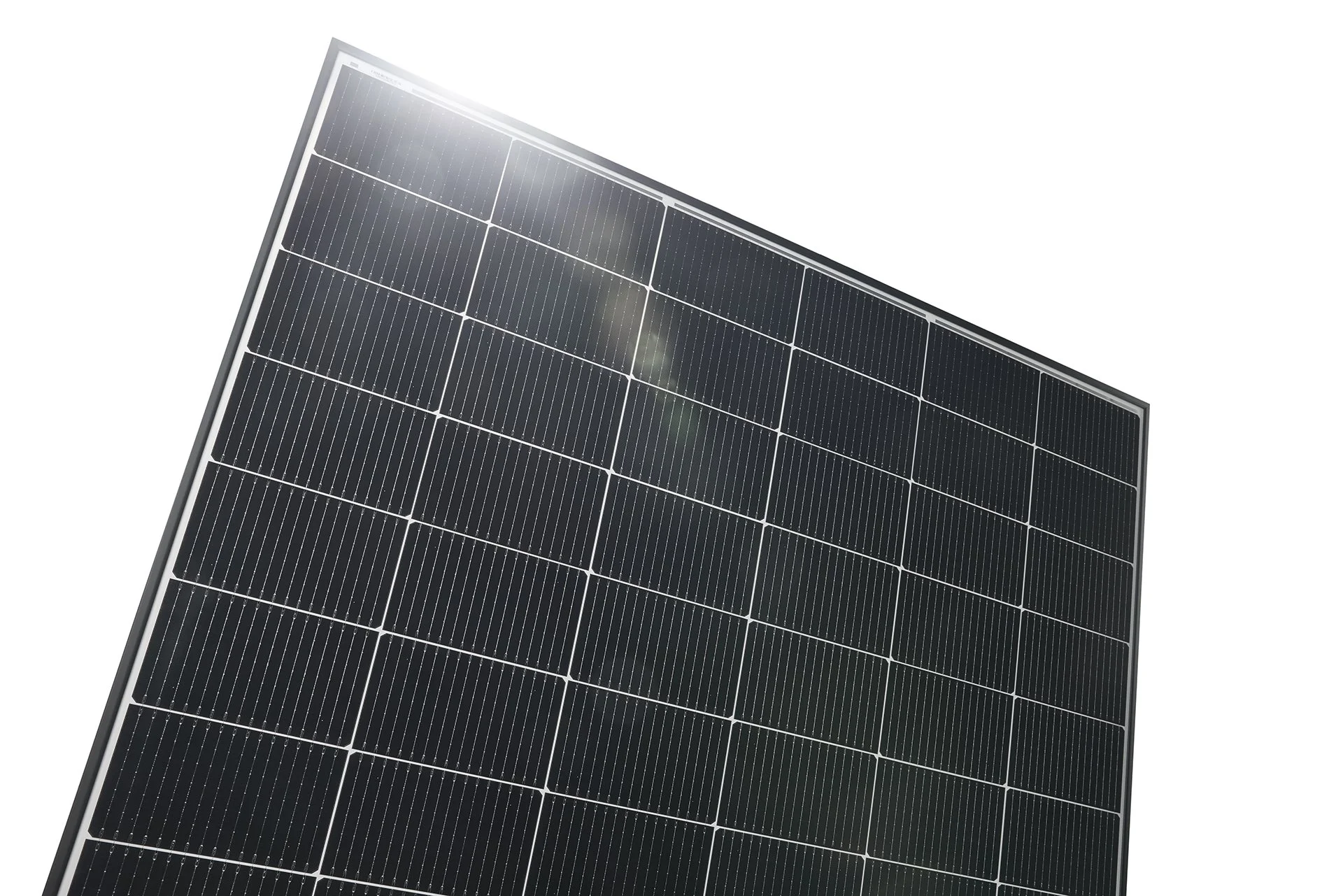 Q-Cells_Q.TRON Classic_Frog_1737.jpg