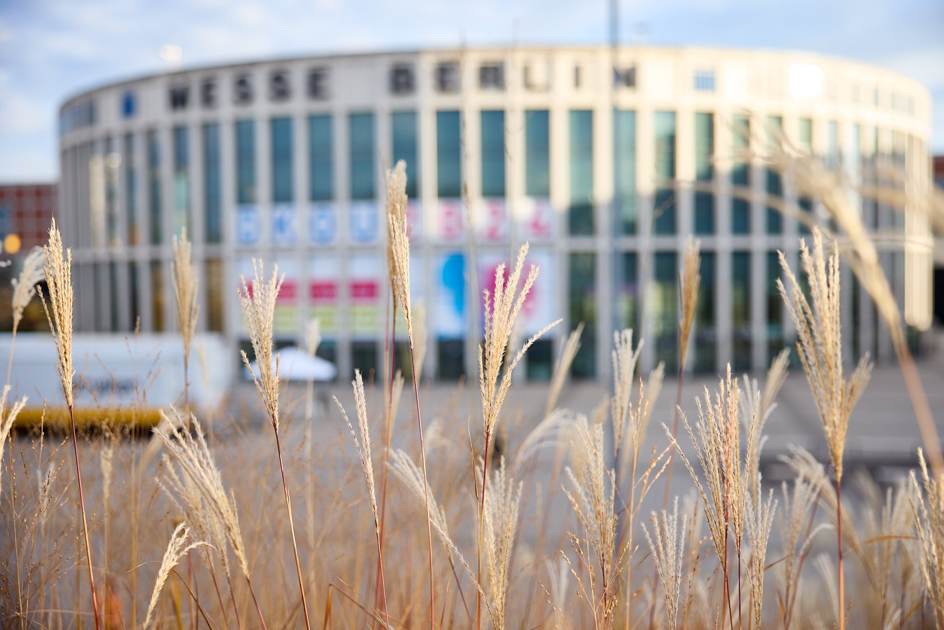 Verblasste Gräser im Vordergrund mit einem verschwommenen Gebäude im Hintergrund