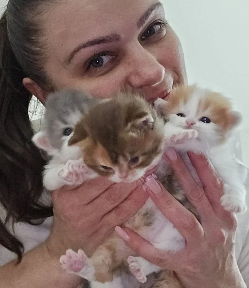 A woman holding three kittens close to her face, with a light background.
