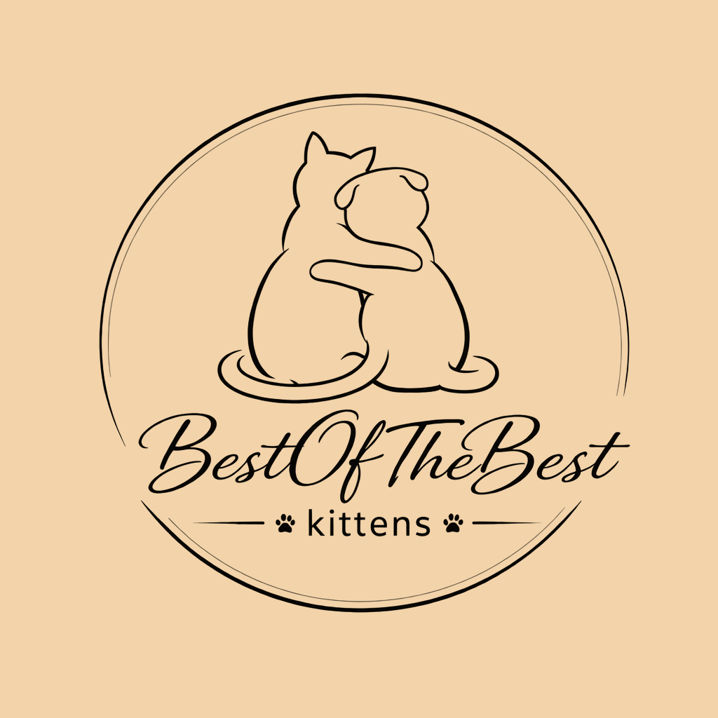 BestOfTheBest Kittens