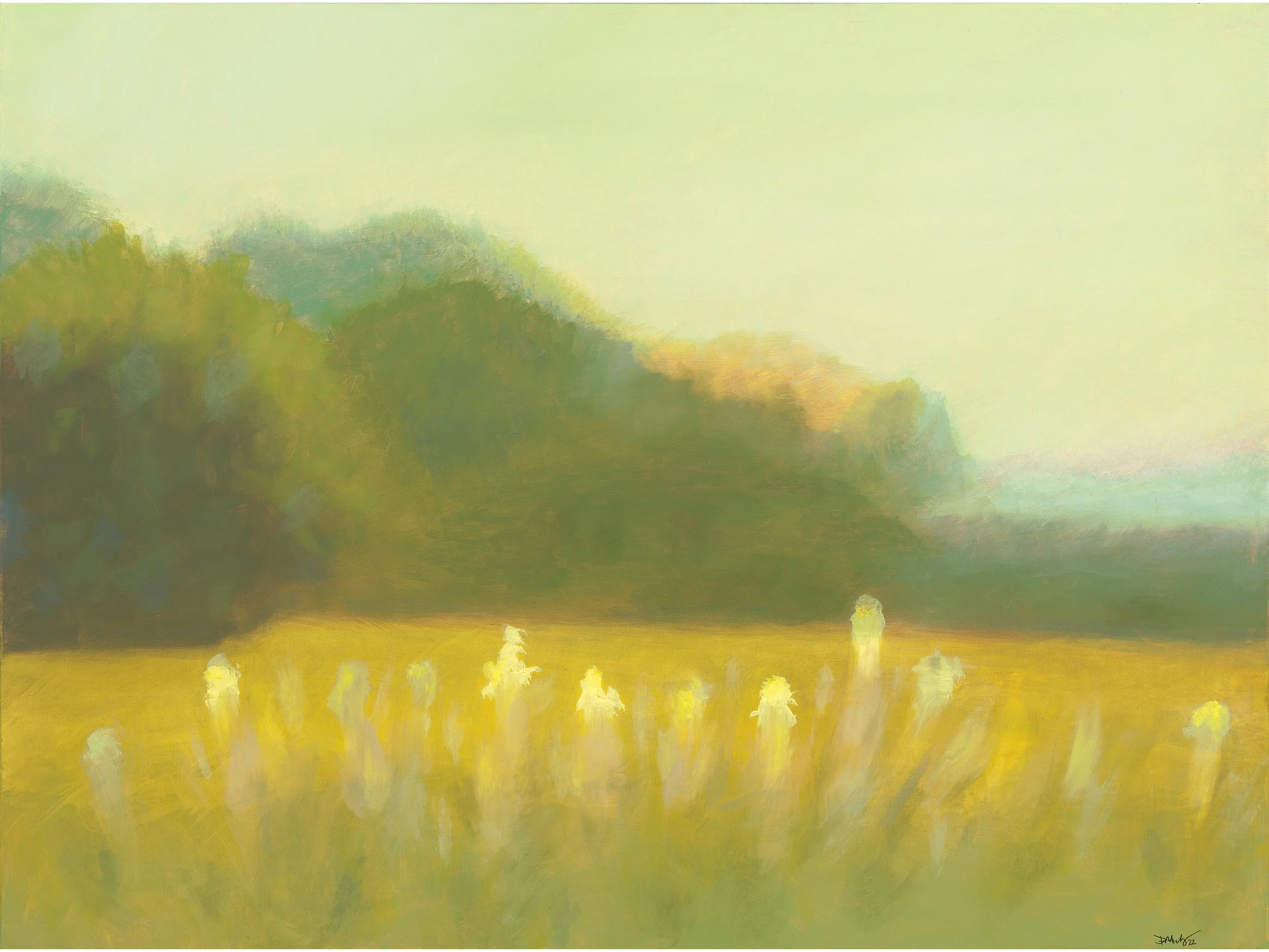 Morning Field, oil on canvas 36x48