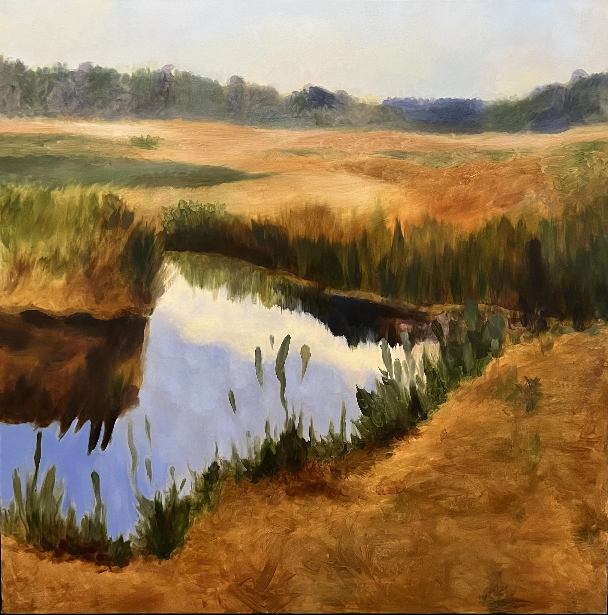 Sargent's Field, oil on canvas 48x48
