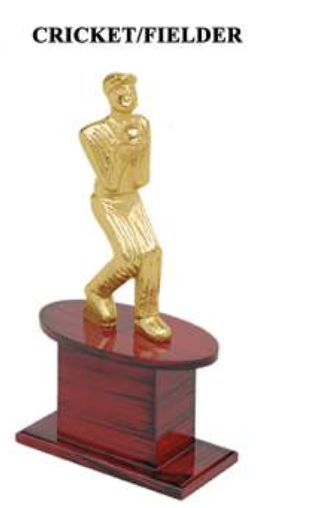 Cricket Fielder of the Tournament Trophy