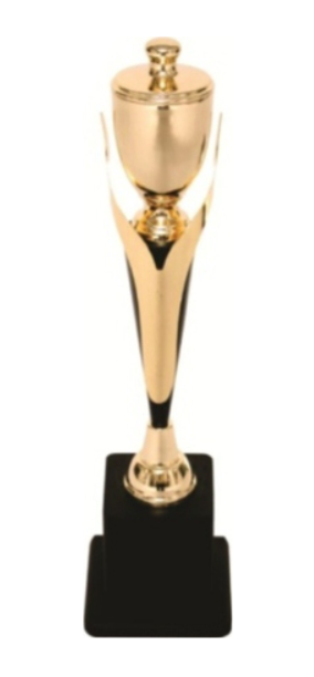 Player of the Tournament Trophy