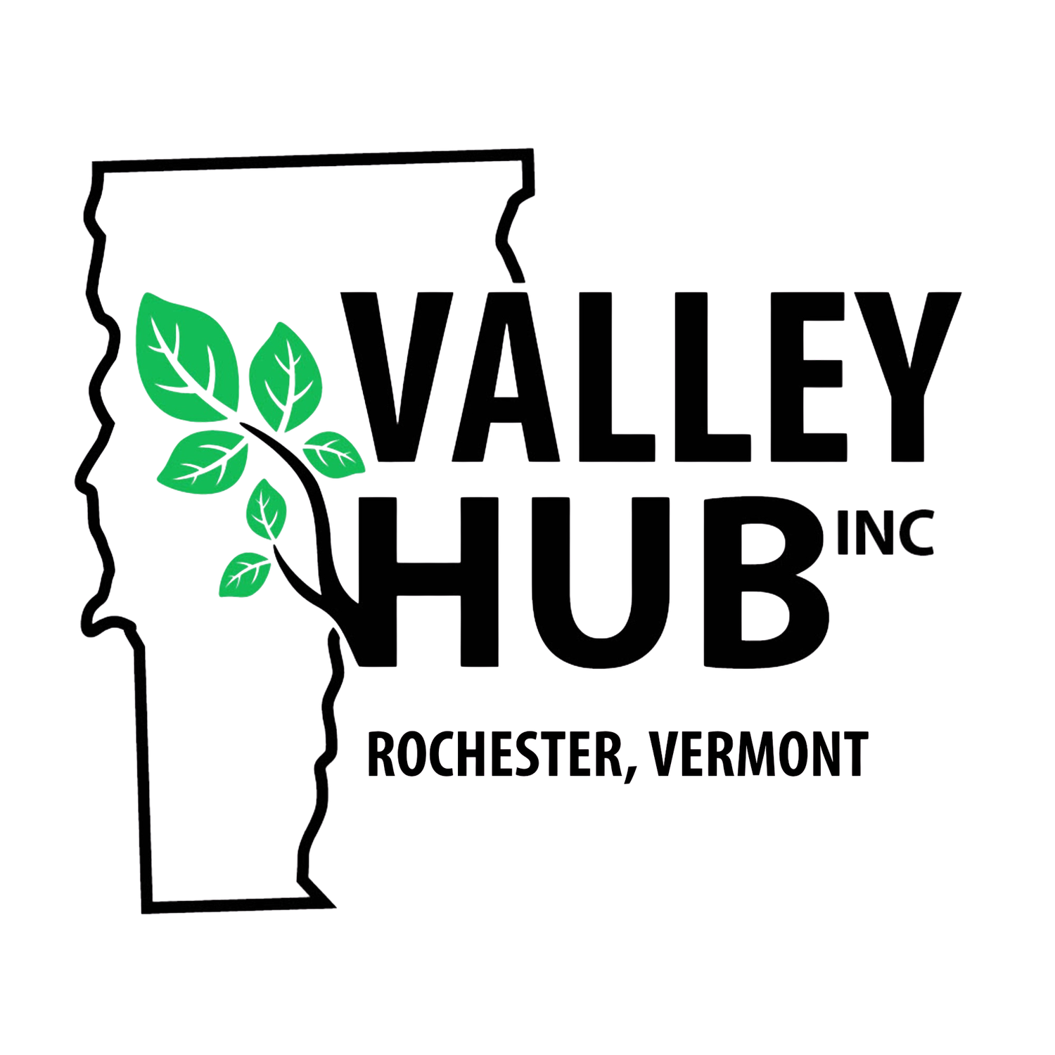 Valley Hub Inc