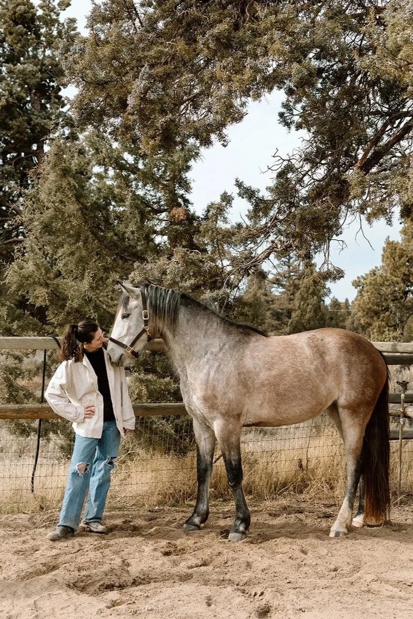A woman, Robin in a white jacket and ripped jeans standing next to Essie, a gray horse on a dirt ground, with a background of trees and a wooden fence.