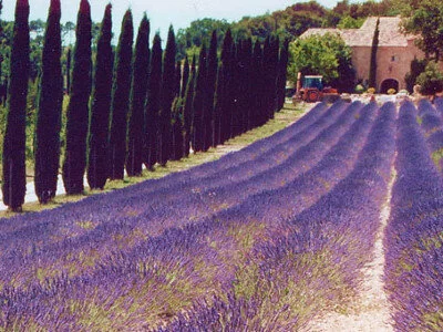 classic drome easy guided holiday.