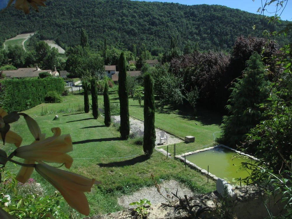 pond in garden lmr.jpg
