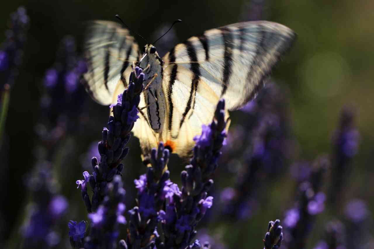 Week commencing 16 May 2026