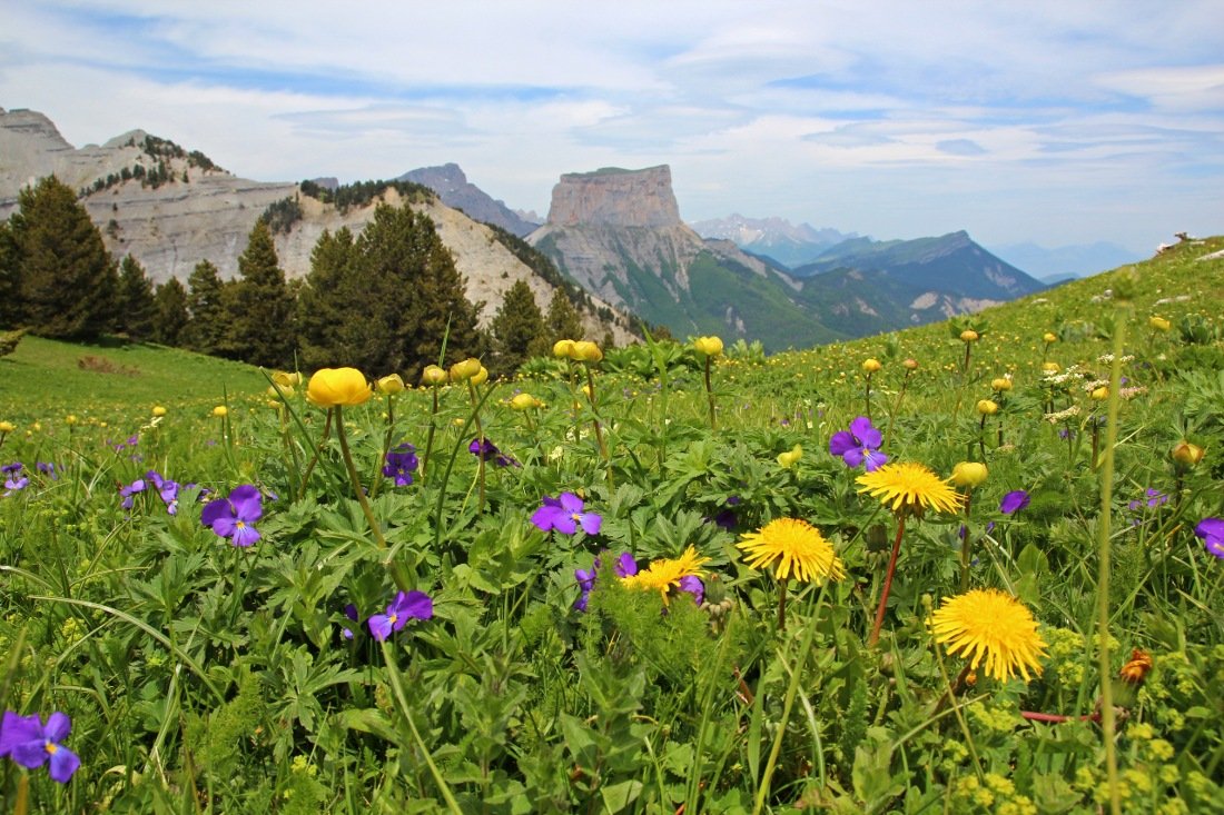 view drome vercors mountains.jpg
