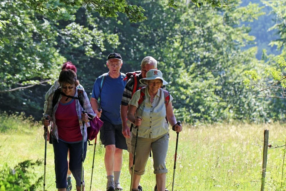 drome walk hike stroll tour holiday.jpg