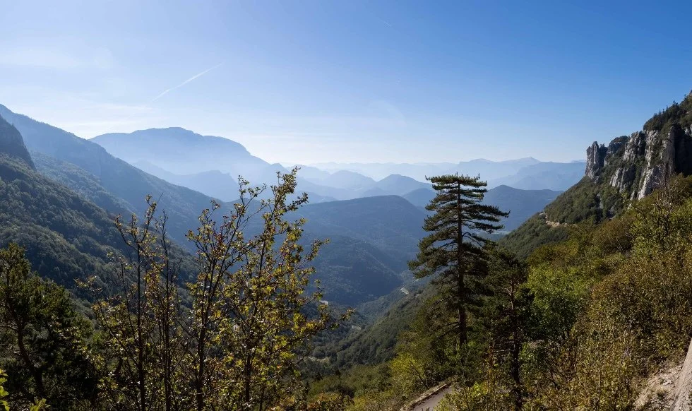 Spring Panoramas - double / twin