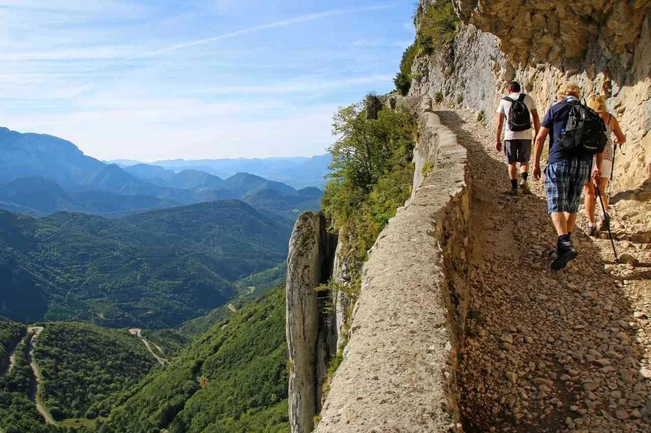 IMG_0848bpxl-compressed (1).jpg