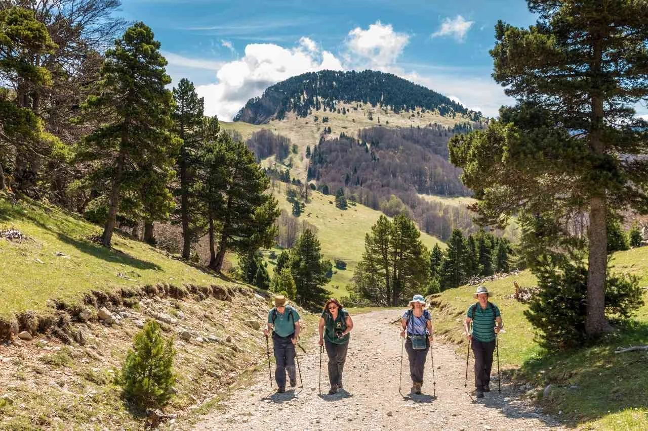 spring walking panorama circuits.jpg