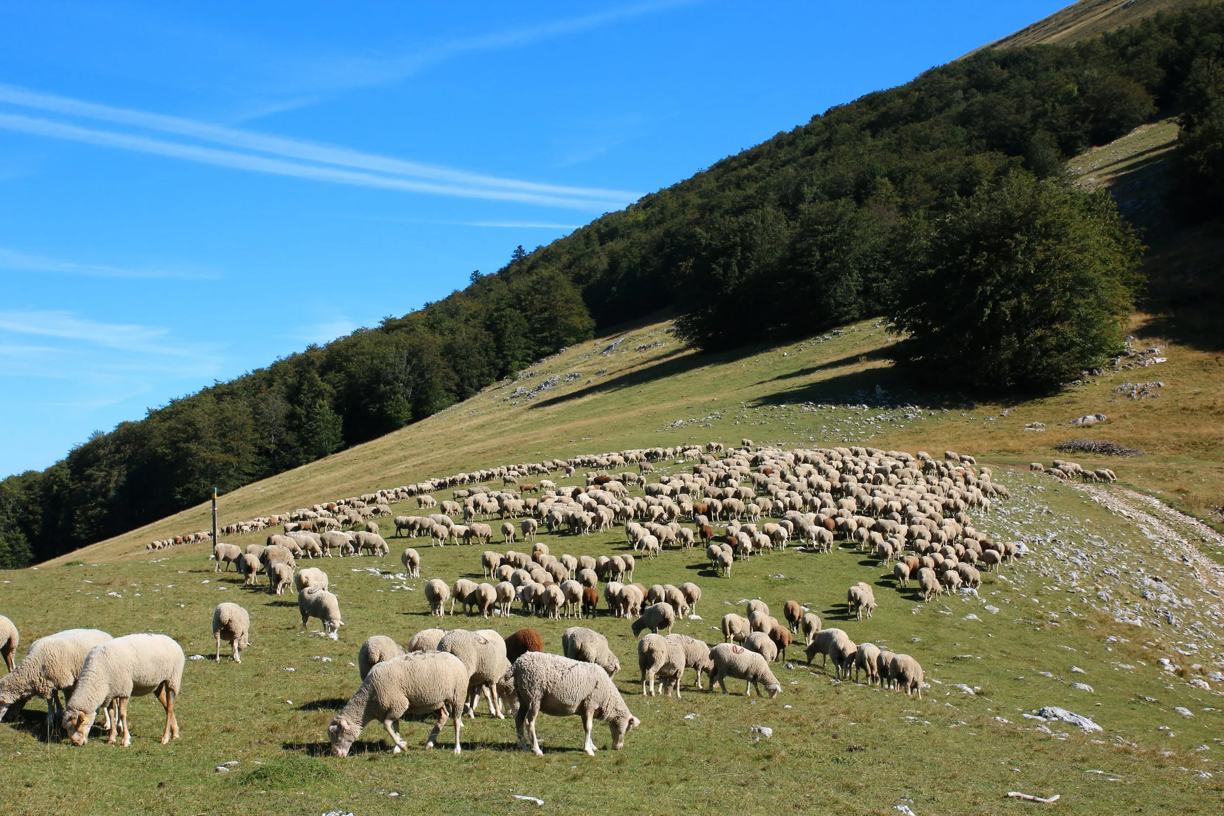 095_col de Rousset.jpg