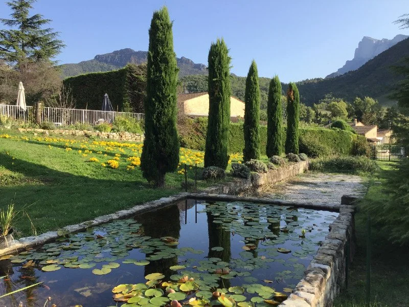 pond.jpg
