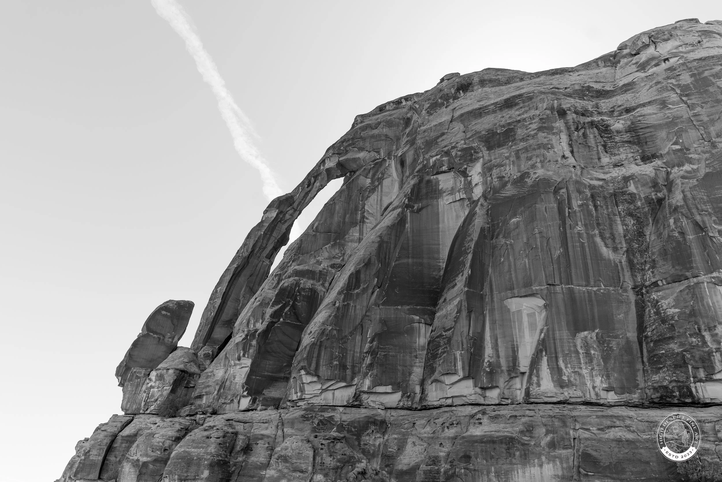 Jug Handle - Monochrome