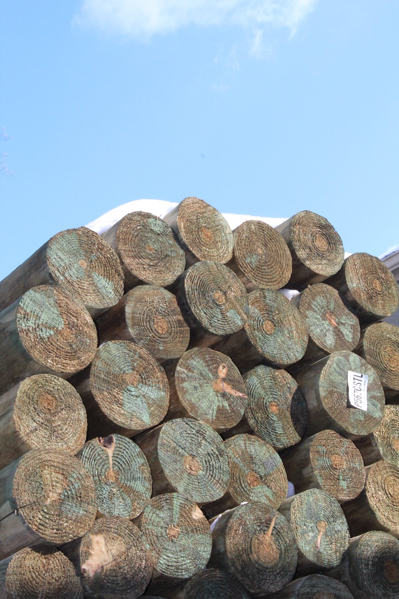 Stacked logs of wood with snow on top, viewed against a blue sky with some clouds.