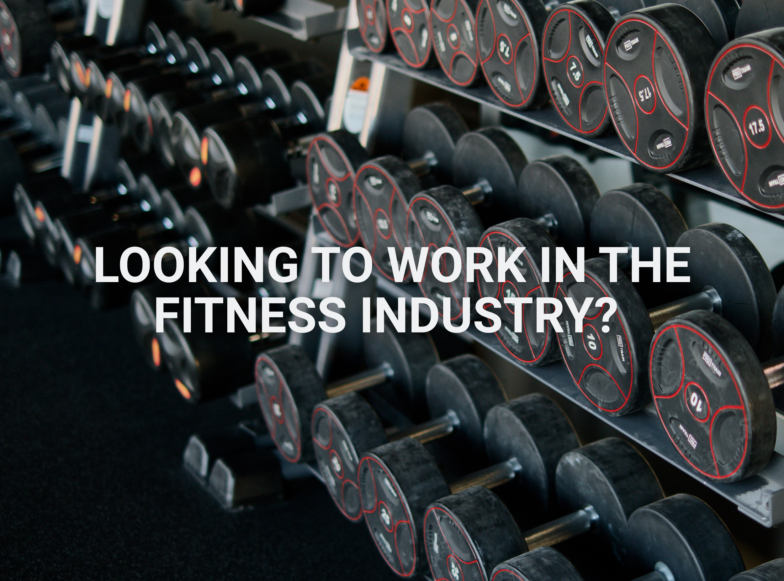 A set of black dumbbells with red accents on racks in a gym, with overlaid white text that reads 'Looking to work in the fitness industry?'.