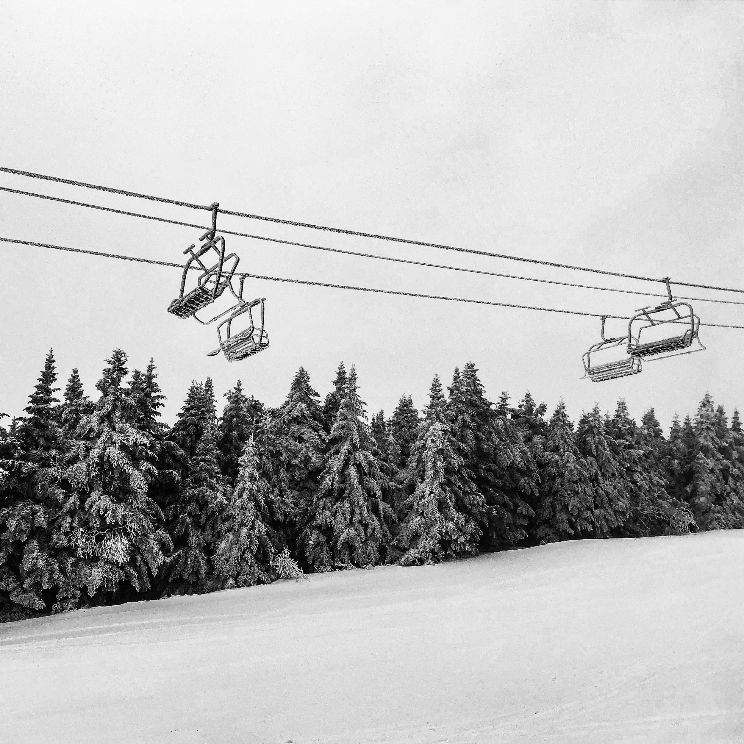 Snow-covered ski lift chairs hanging from cables over a snowy landscape with a dense forest of snow-covered trees in the background.