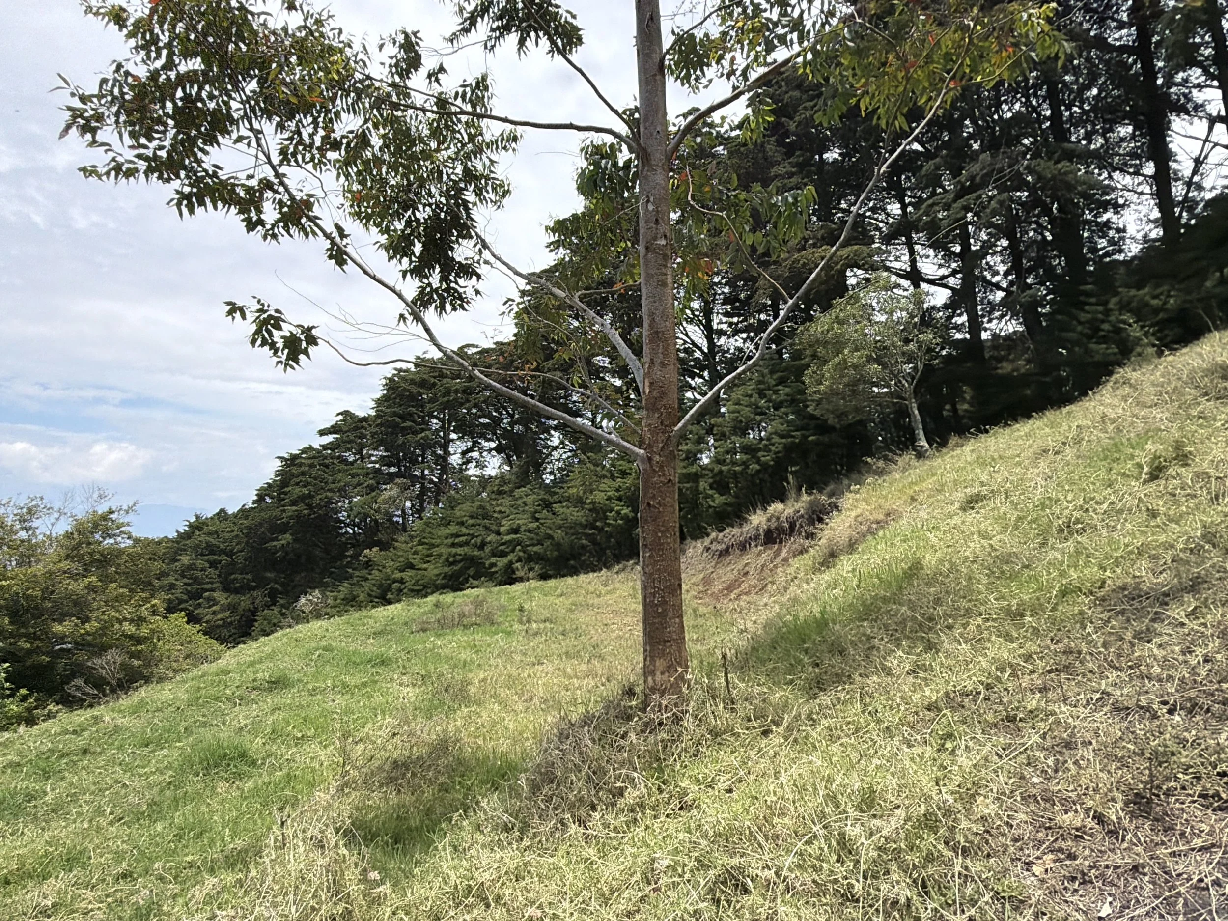DJI_20260428_112829_198.JPG