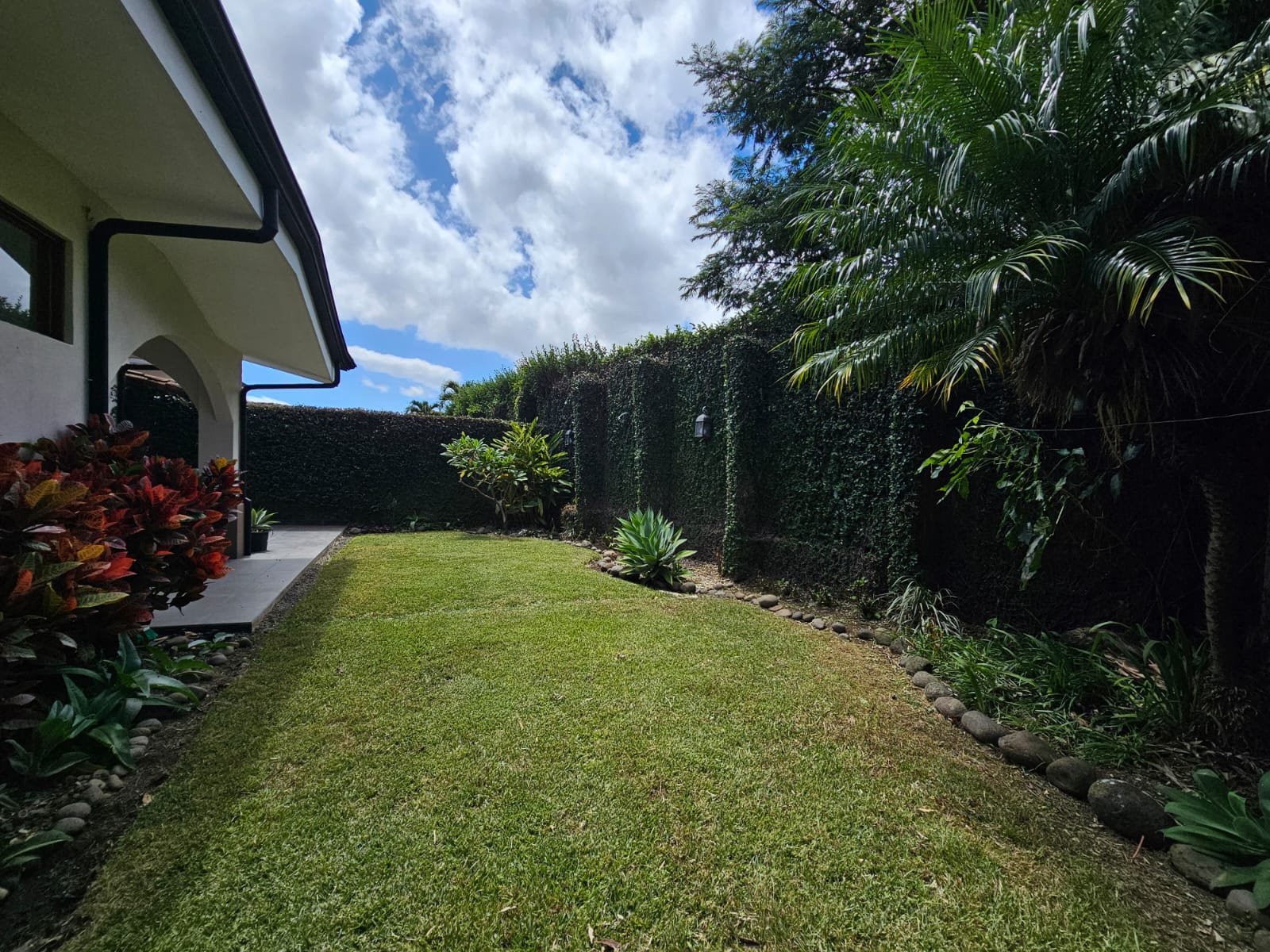 ee3d6e44-f17d-4256-b46d-21089ab4263b.jpg