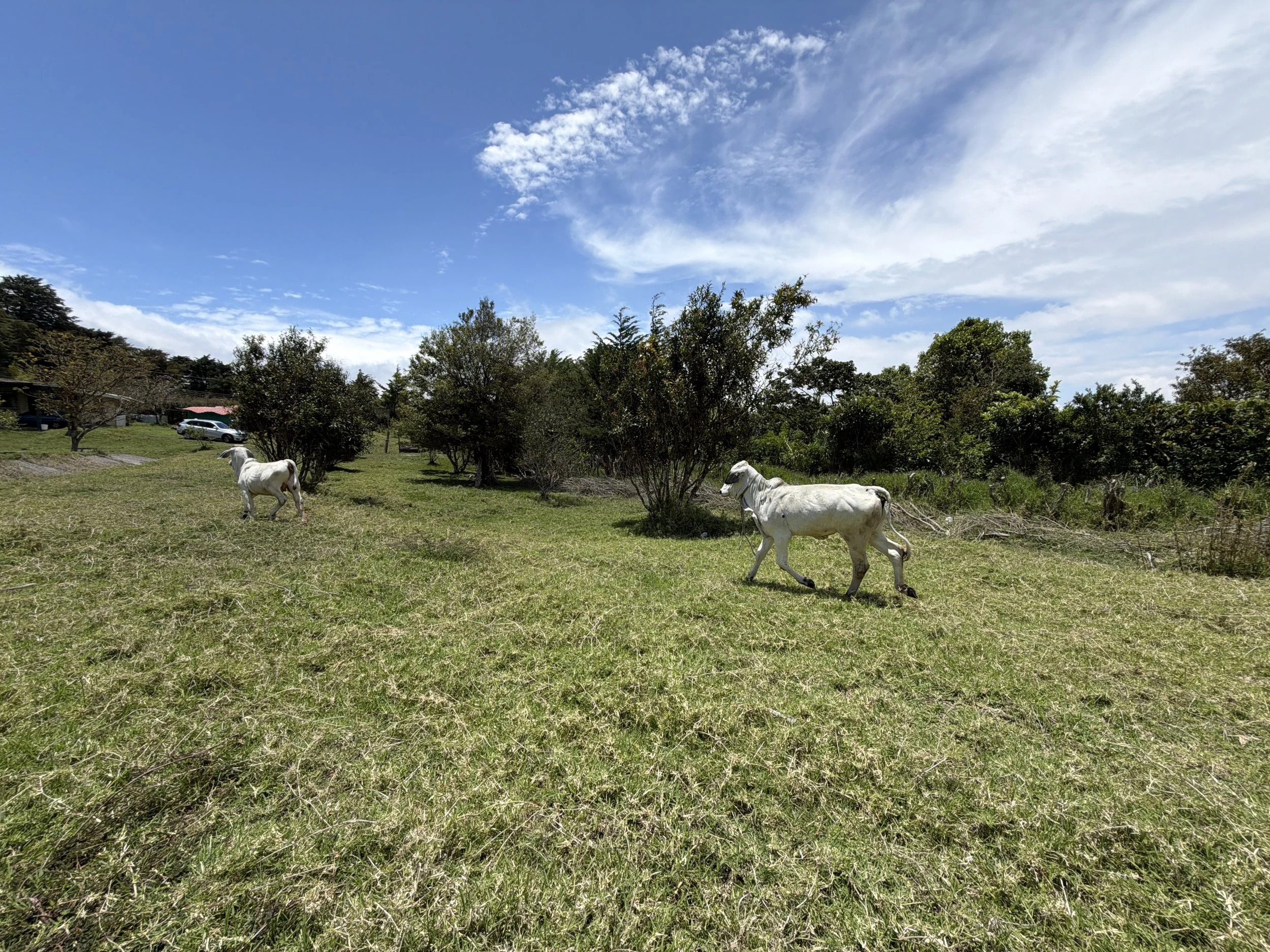 DJI_20260428_112312_998.JPG