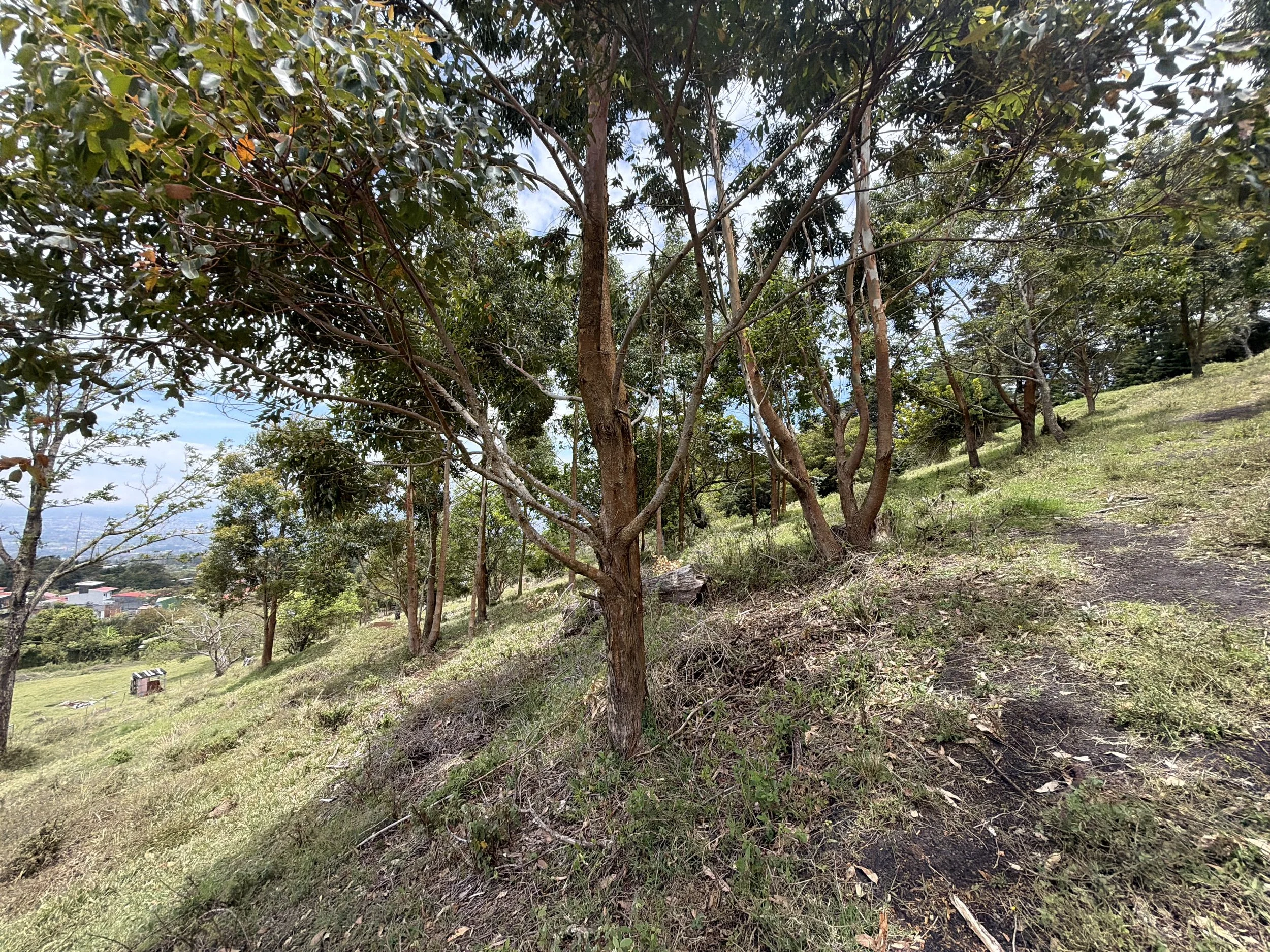 DJI_20260428_114552_834.JPG