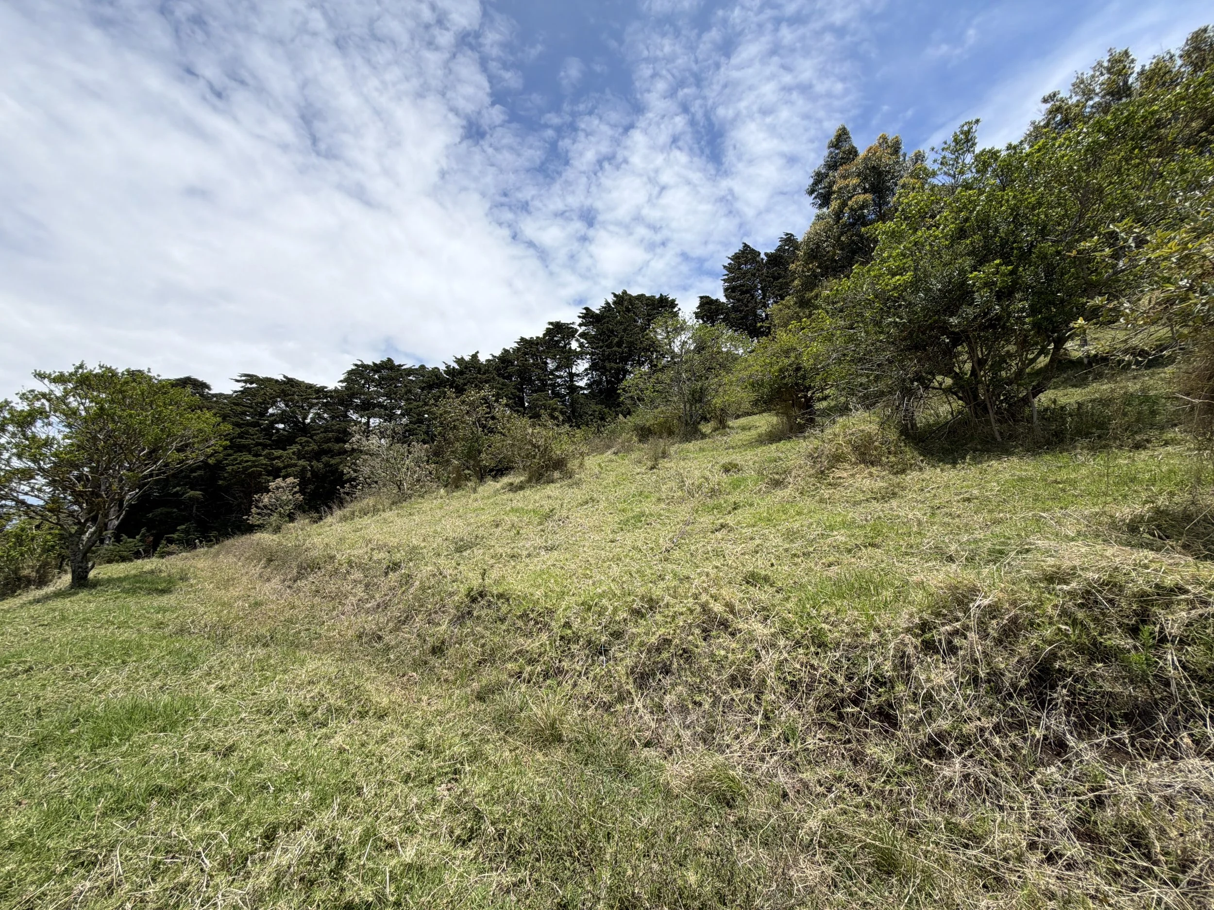 DJI_20260428_112531_385.JPG