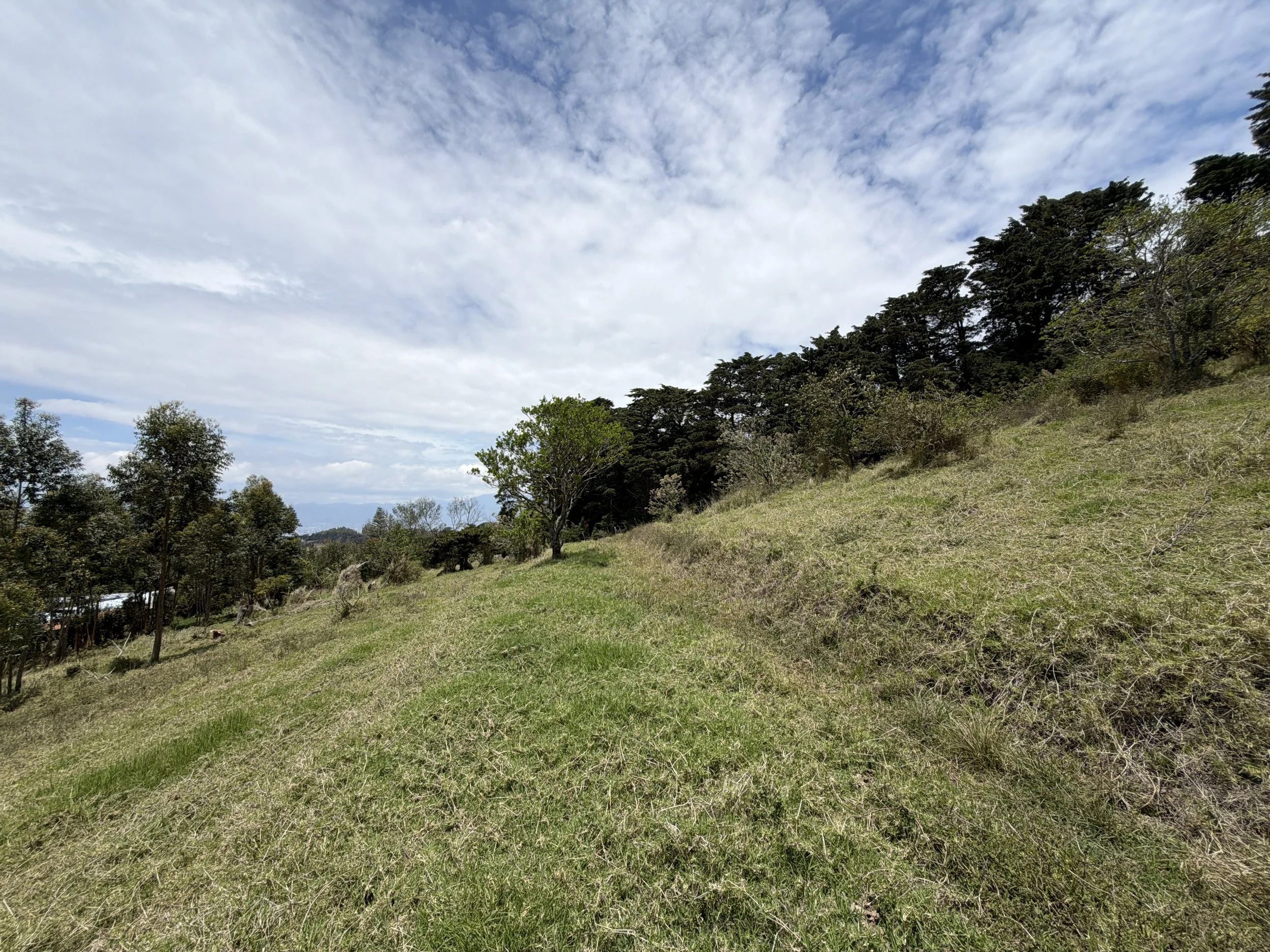 DJI_20260428_112530_100.JPG