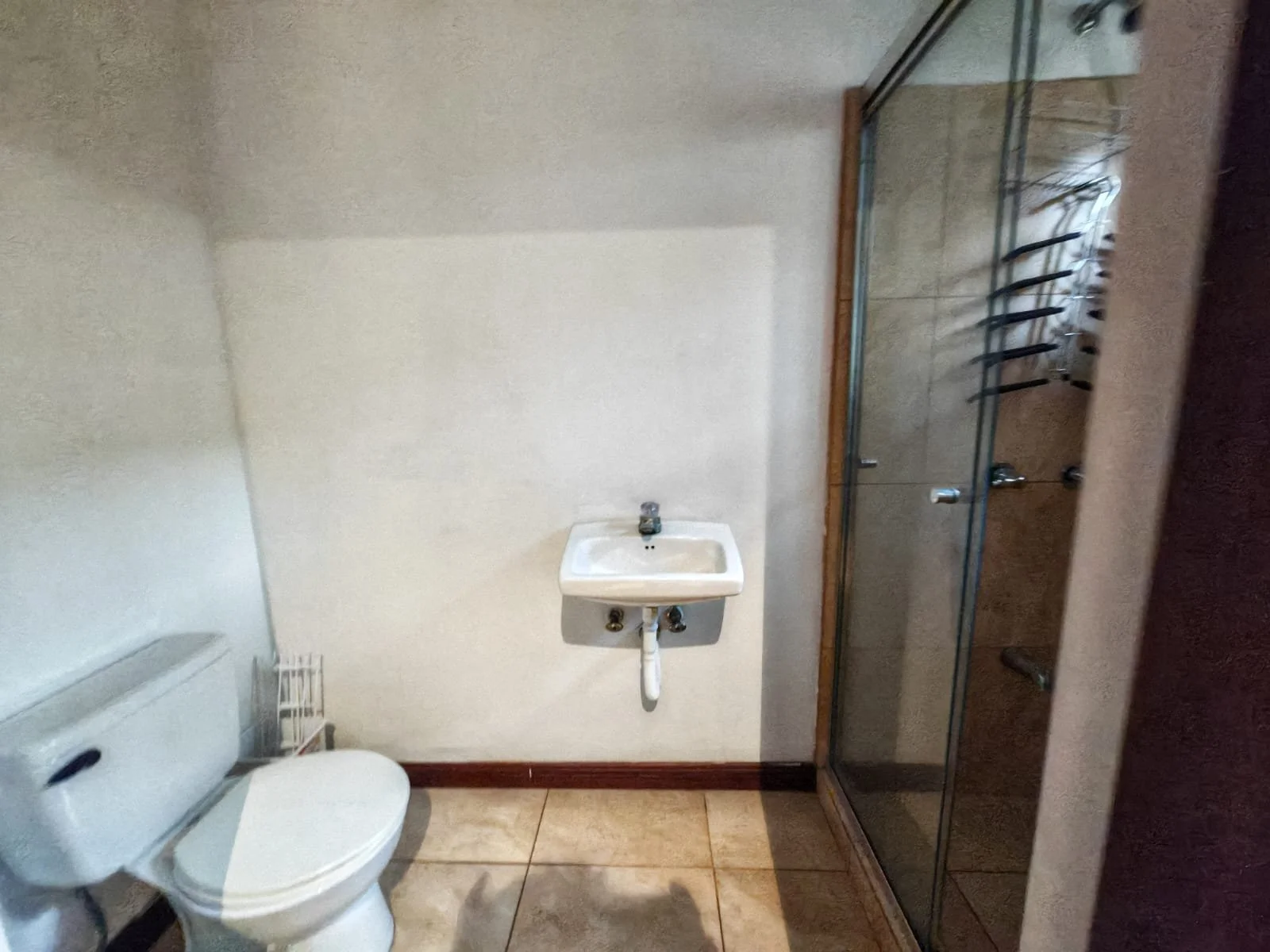 d2bcd709-650e-4a40-845f-92cc4cc3eda9.jpg