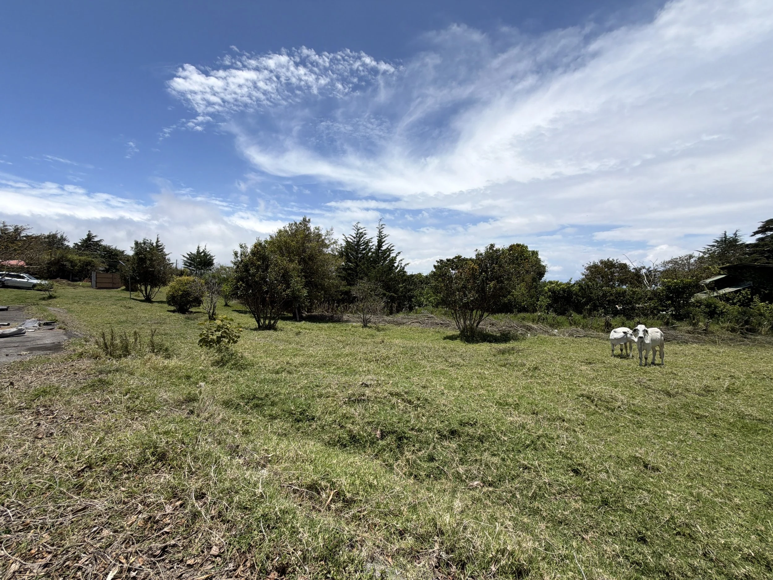 DJI_20260428_112241_705.JPG