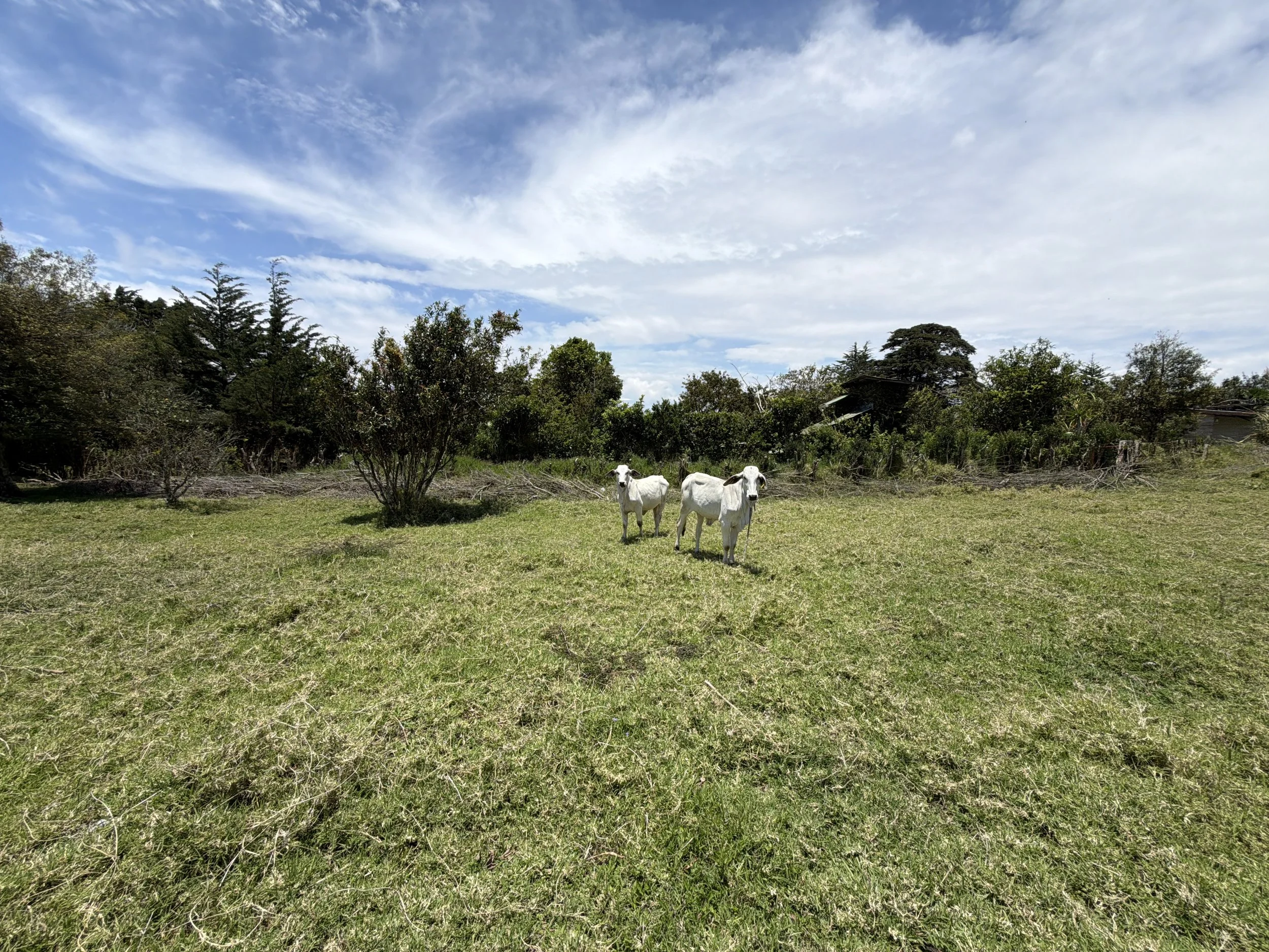 DJI_20260428_112254_575.JPG