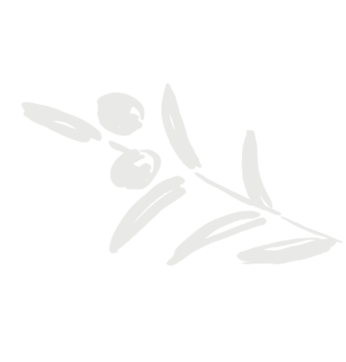 Illustration of a branch with leaves and olive-like fruit.