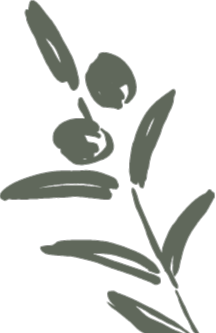 A minimalist, monochrome illustration of a branch with leaves and three berries.