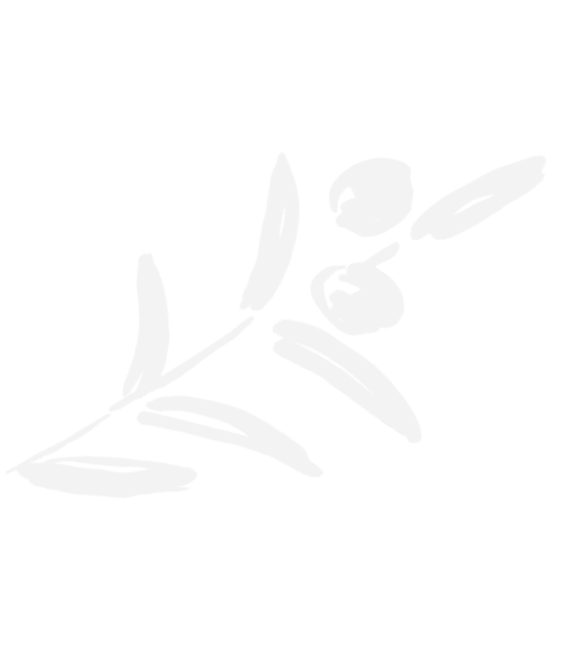 A stylized illustration of a branch with three olives and several leaves in a minimalist, monochrome style.