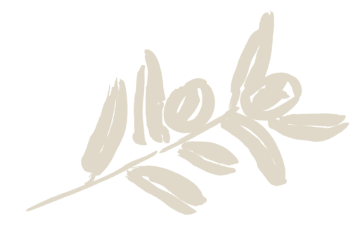 Stylized white hand-lettered text that reads 'hello' with leaves graphic on a black background.